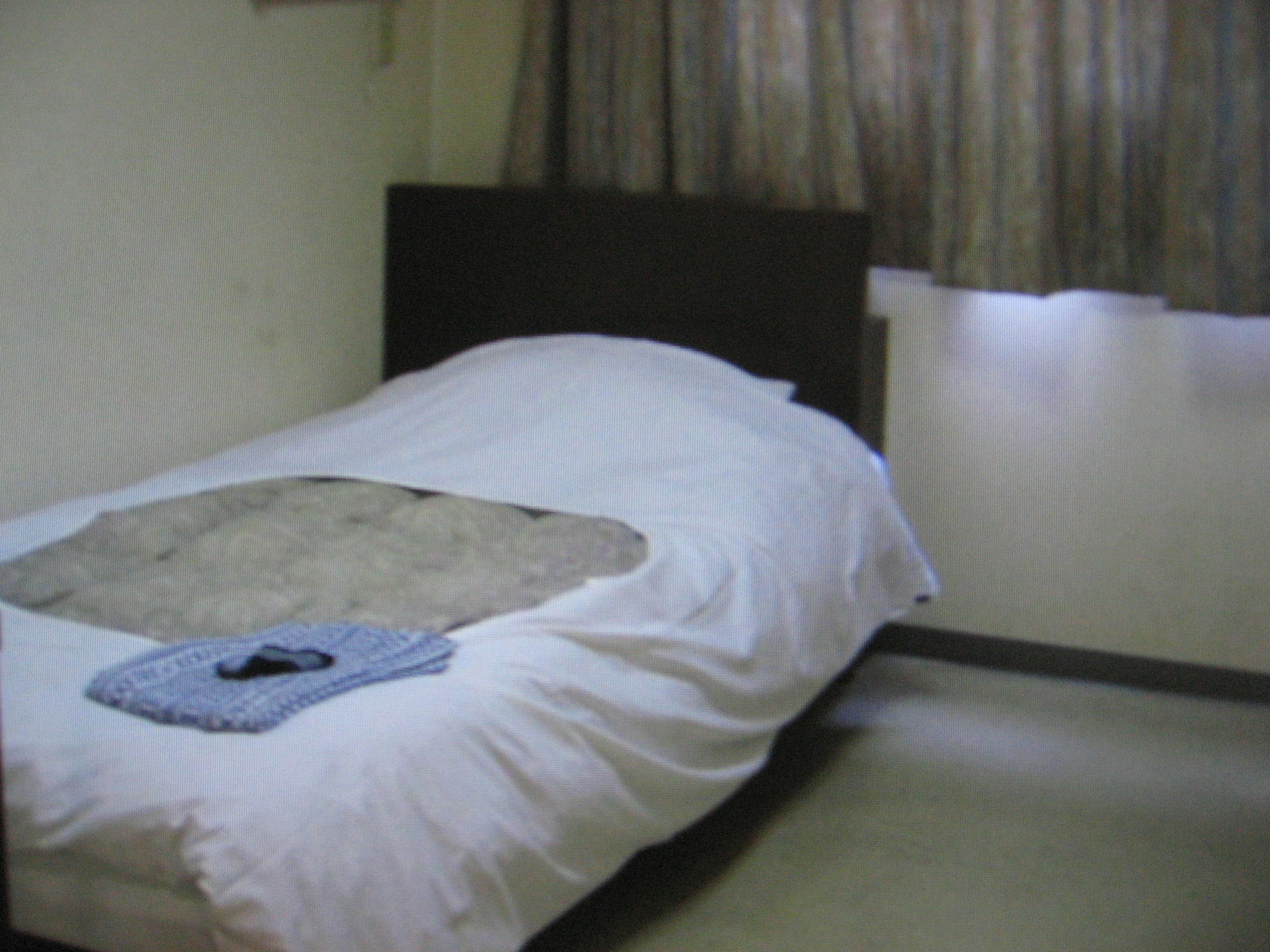 Business Hotel Shinsuma Hekinan Buitenkant foto